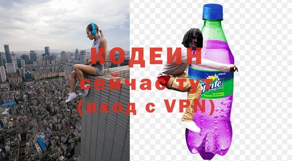 индика Бронницы